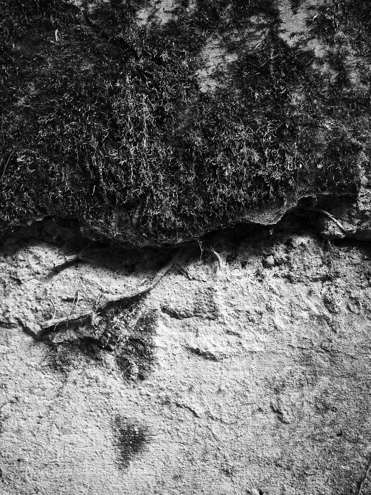 Olympus OM-D E-M10 II sample photo. Wall photography
