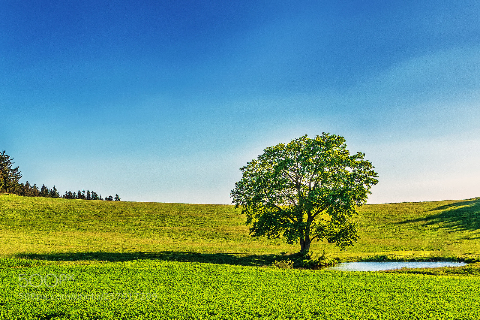 Nikon D5600 sample photo. Vysočinou ... 60. photography