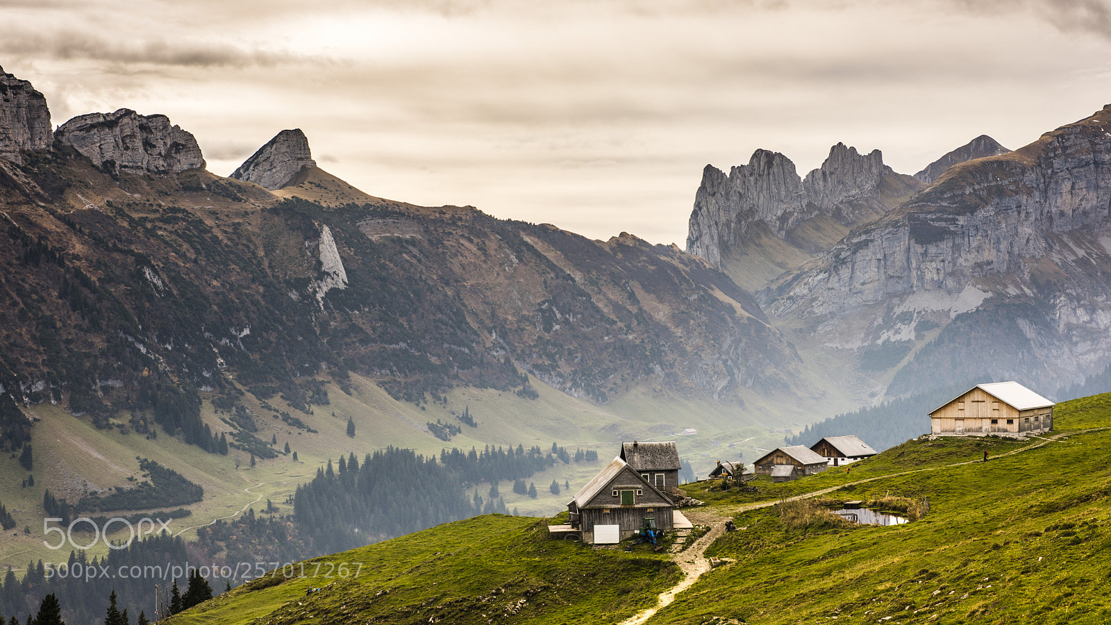 Nikon D810 sample photo. Alpstein sch photography