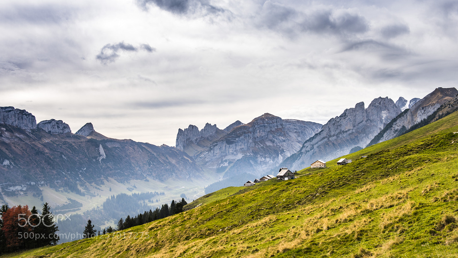 Nikon D810 sample photo. Alpstein sch photography