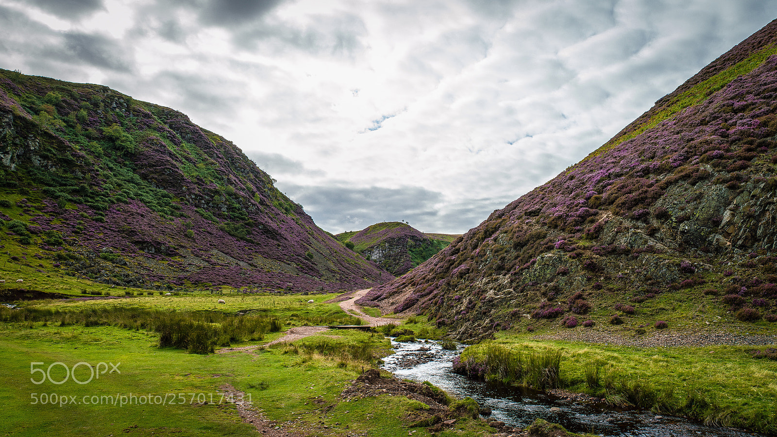 Nikon D3200 sample photo. Pentland hills photography