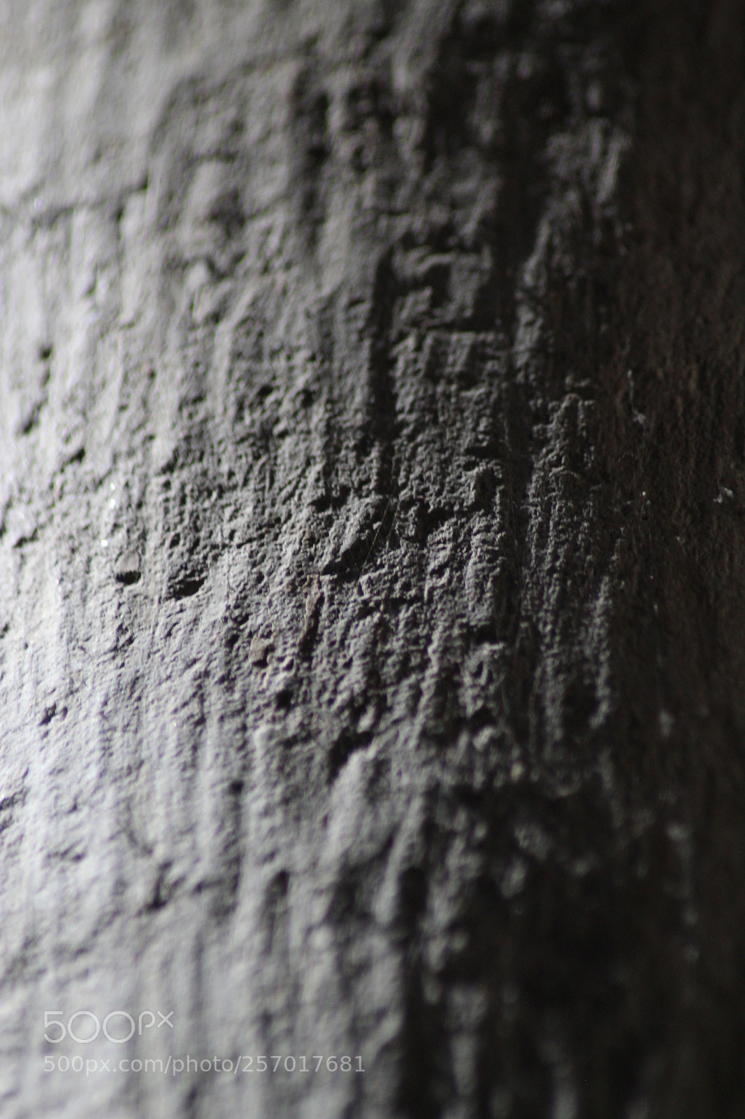 Canon EOS 1300D (EOS Rebel T6 / EOS Kiss X80) sample photo. Medieval column photography
