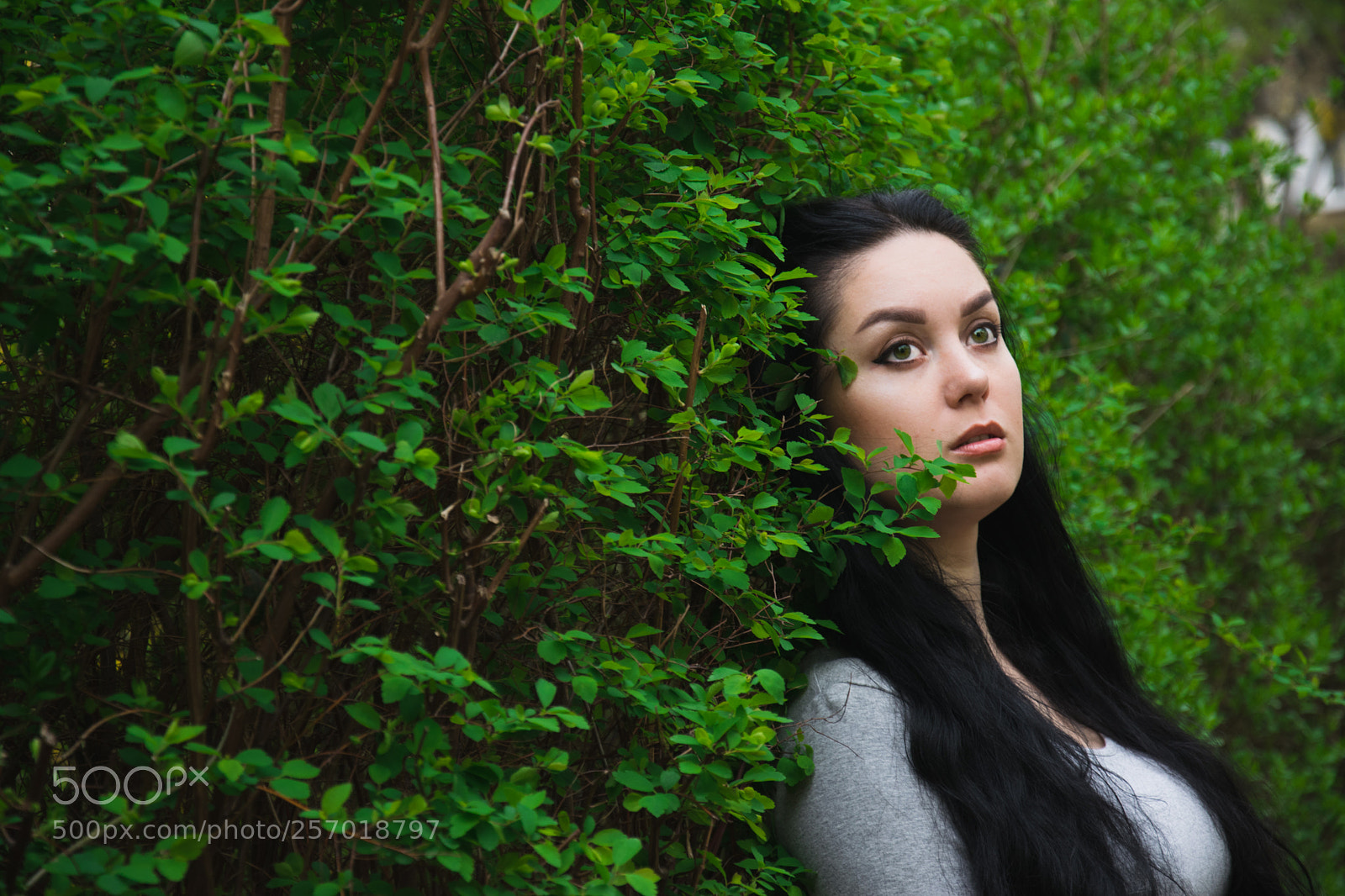 Nikon D3300 sample photo. Dryad 1 photography