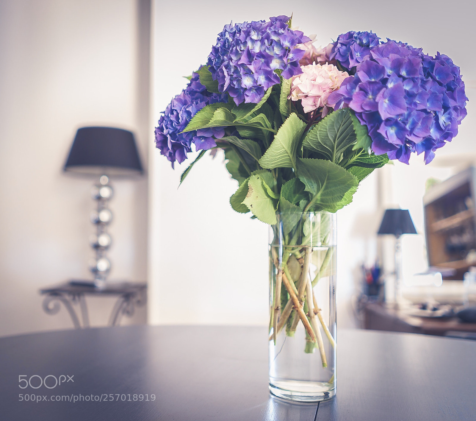 Sony a7 sample photo. Flower  photography