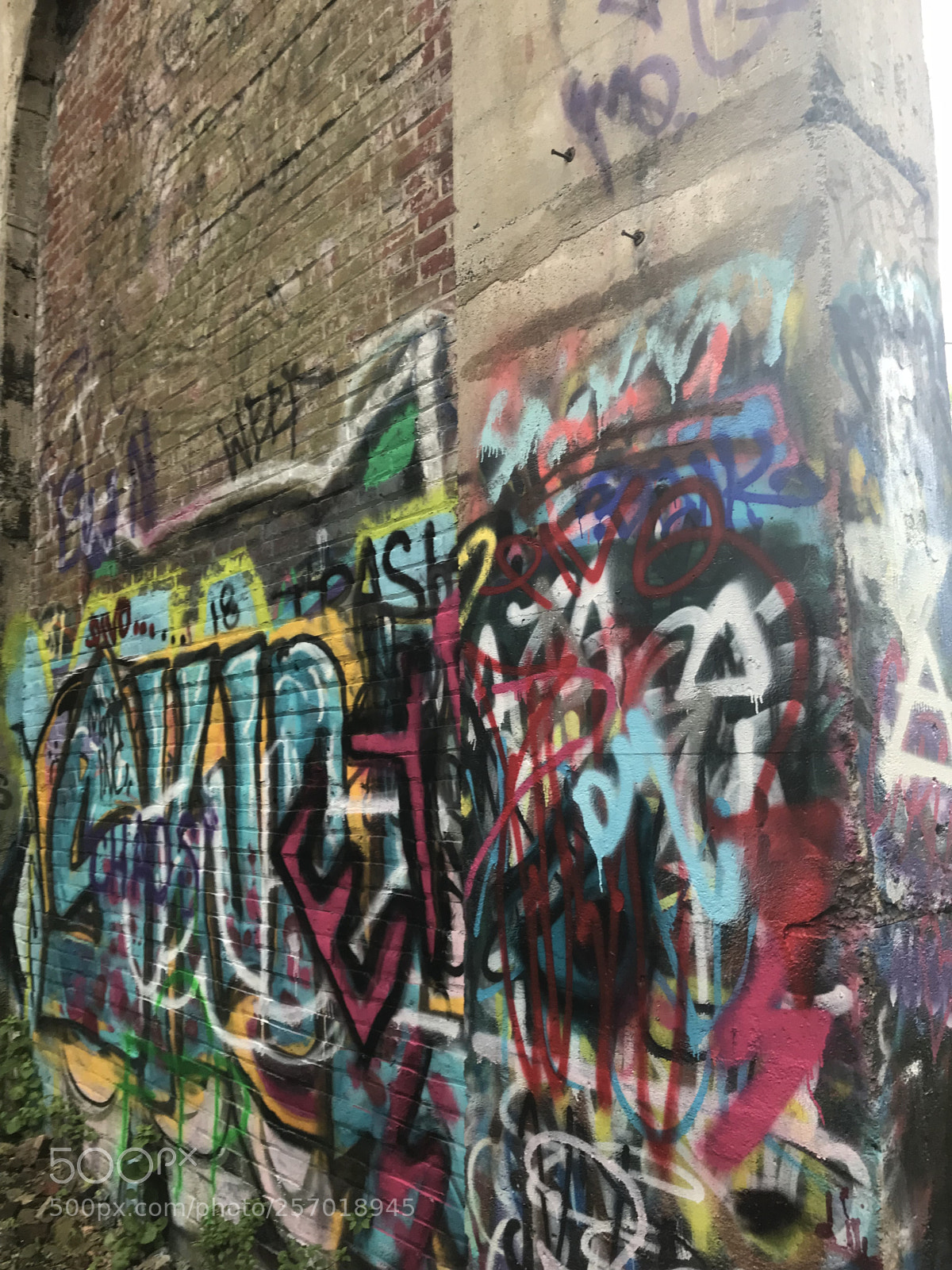 Apple iPhone 7 sample photo. Img photography