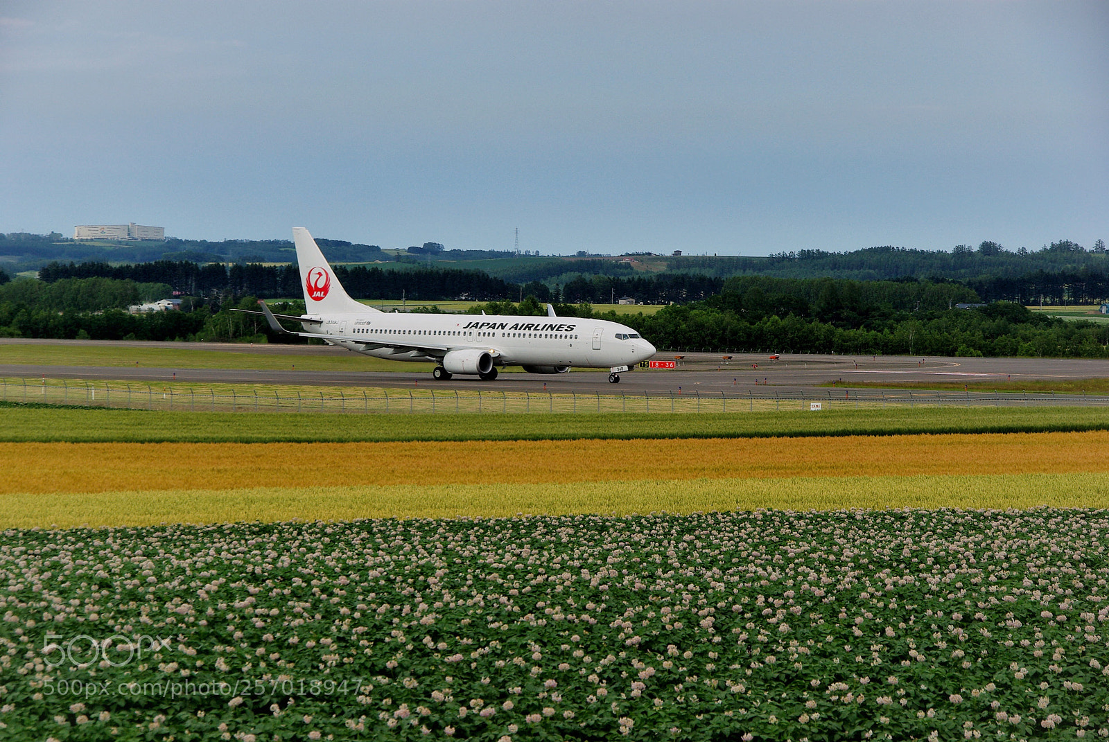 Pentax K10D sample photo. Floral airport :) photography