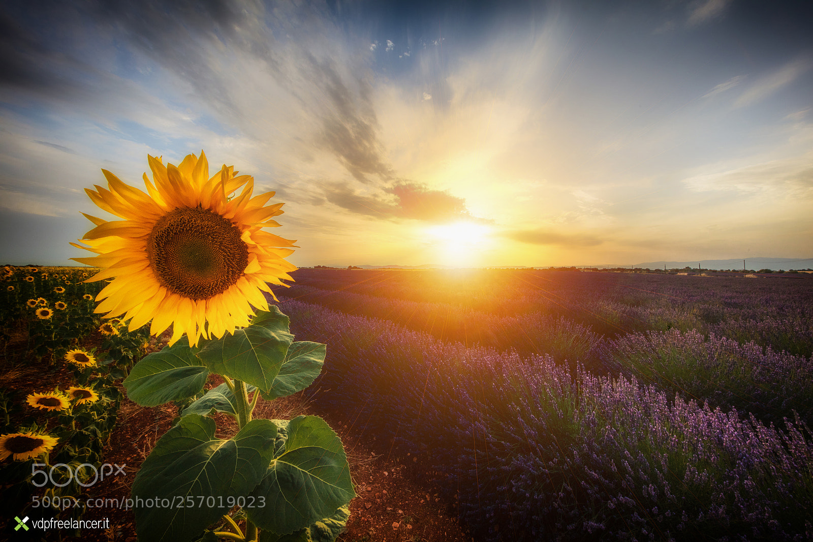 Canon EOS 5DS sample photo. Two suns photography