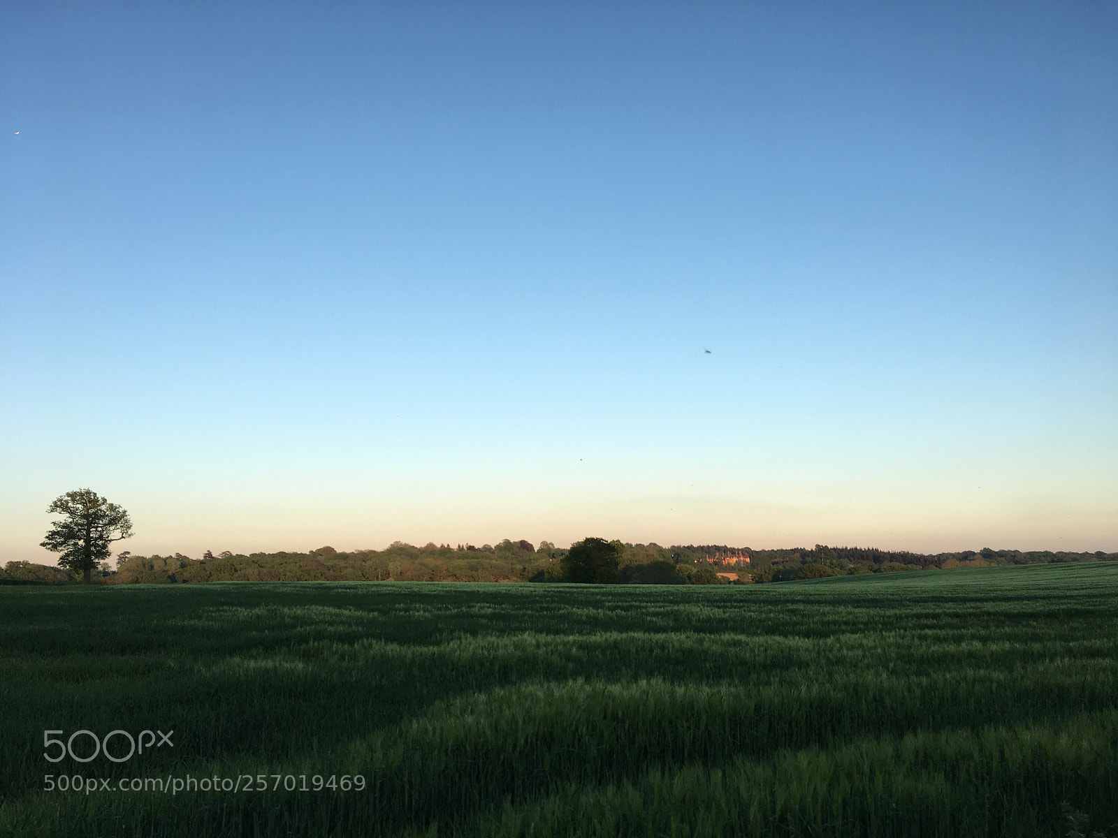 Apple iPhone 6s sample photo. Not cgi photography