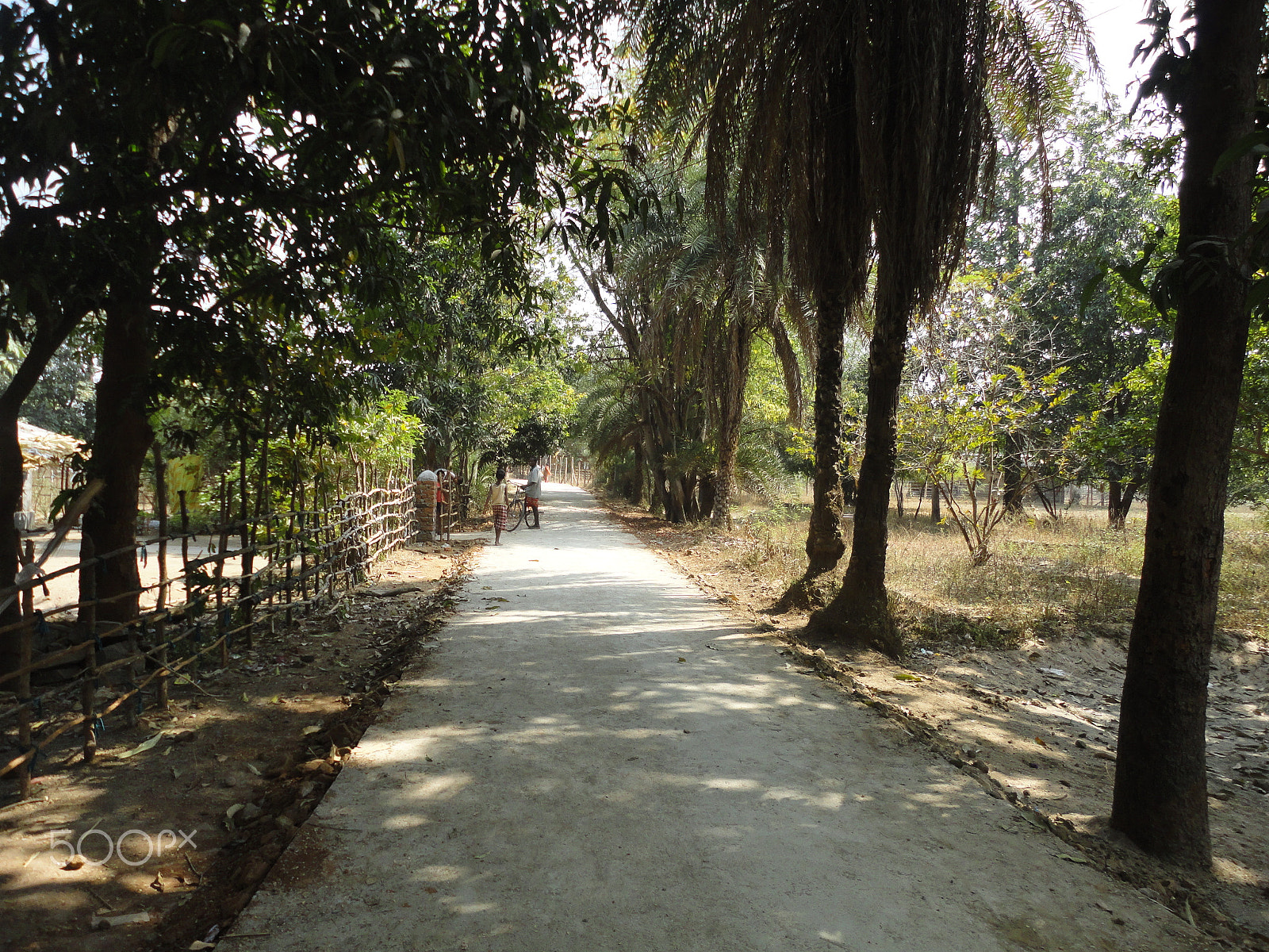 Sony Cyber-shot DSC-W350 sample photo. A road going through the village and peoples life. photography