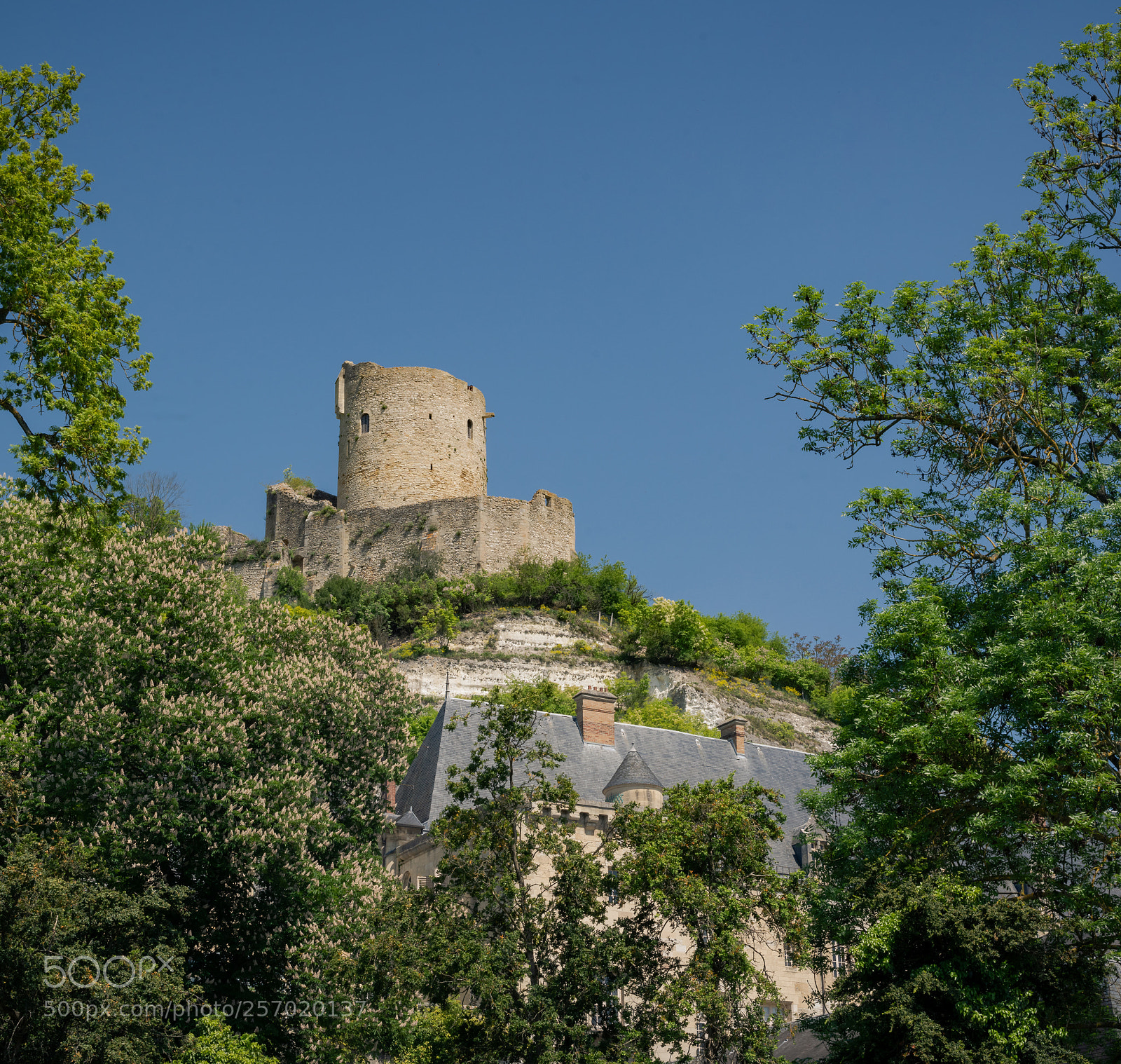 Nikon D850 sample photo. Picc photography