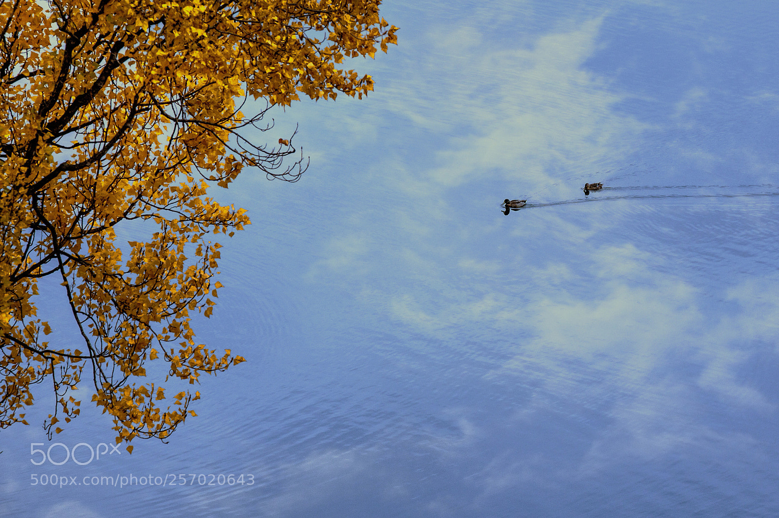 Canon EOS 5D Mark II sample photo. Wait photography