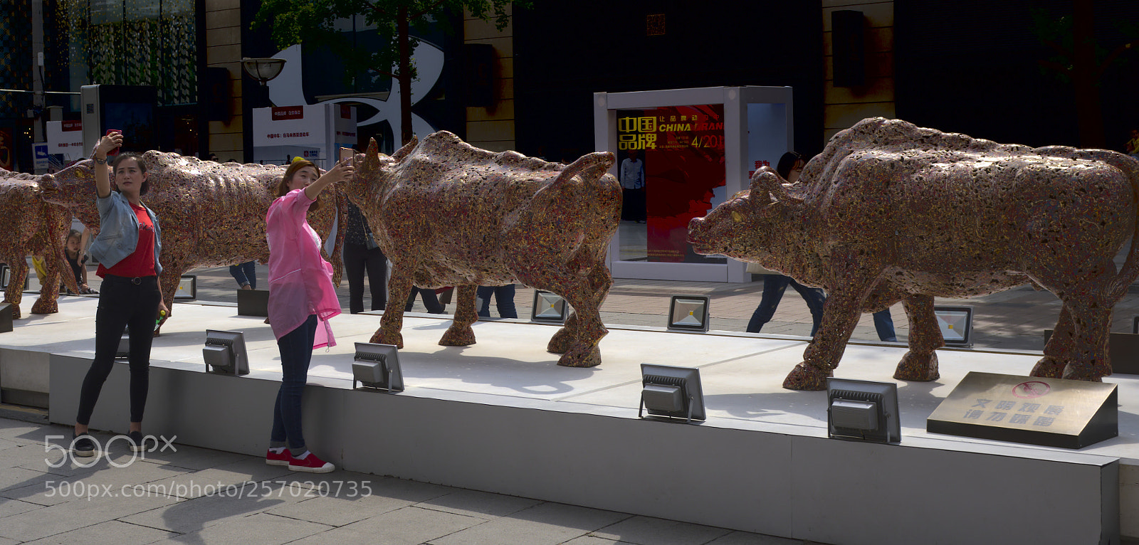 Fujifilm X100F sample photo. Selfie #4 photography