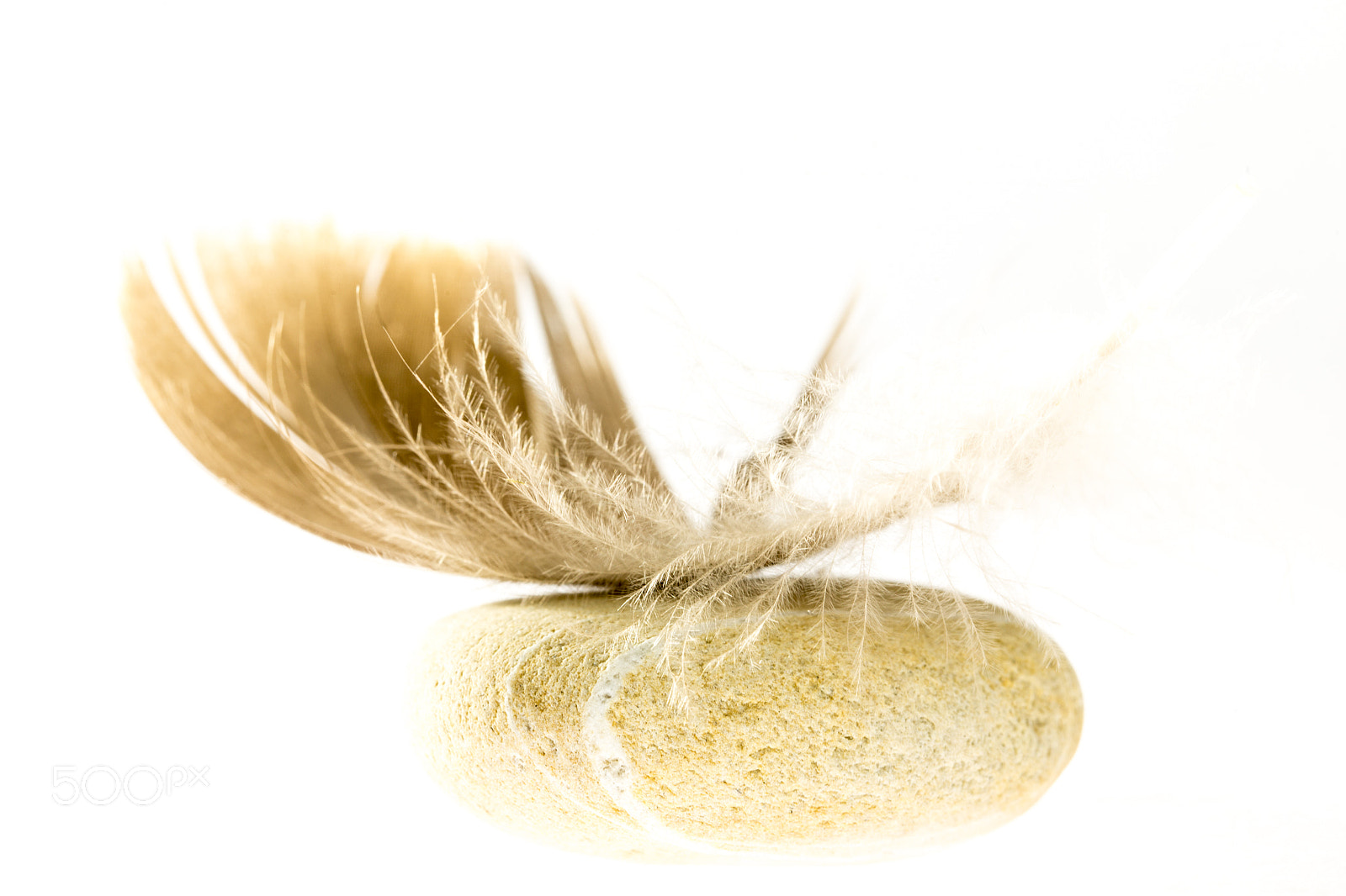 Canon EOS 6D sample photo. Stone and feather photography