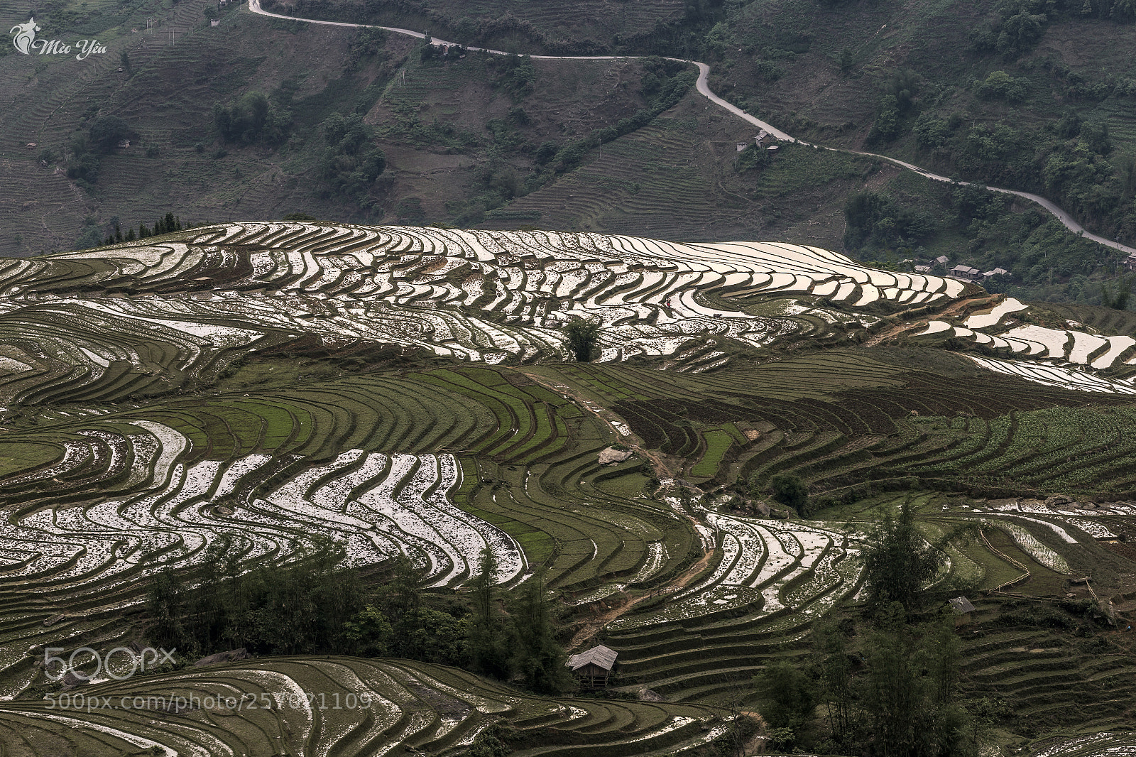 Canon EOS 6D sample photo. Rest season land in photography
