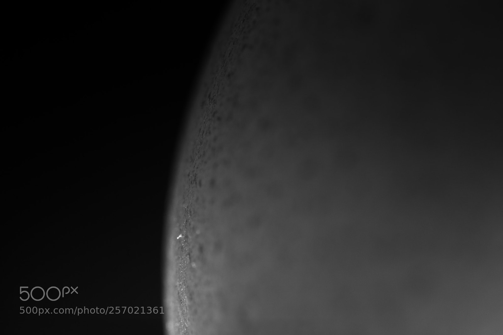 Canon EOS 6D sample photo. Egg photography