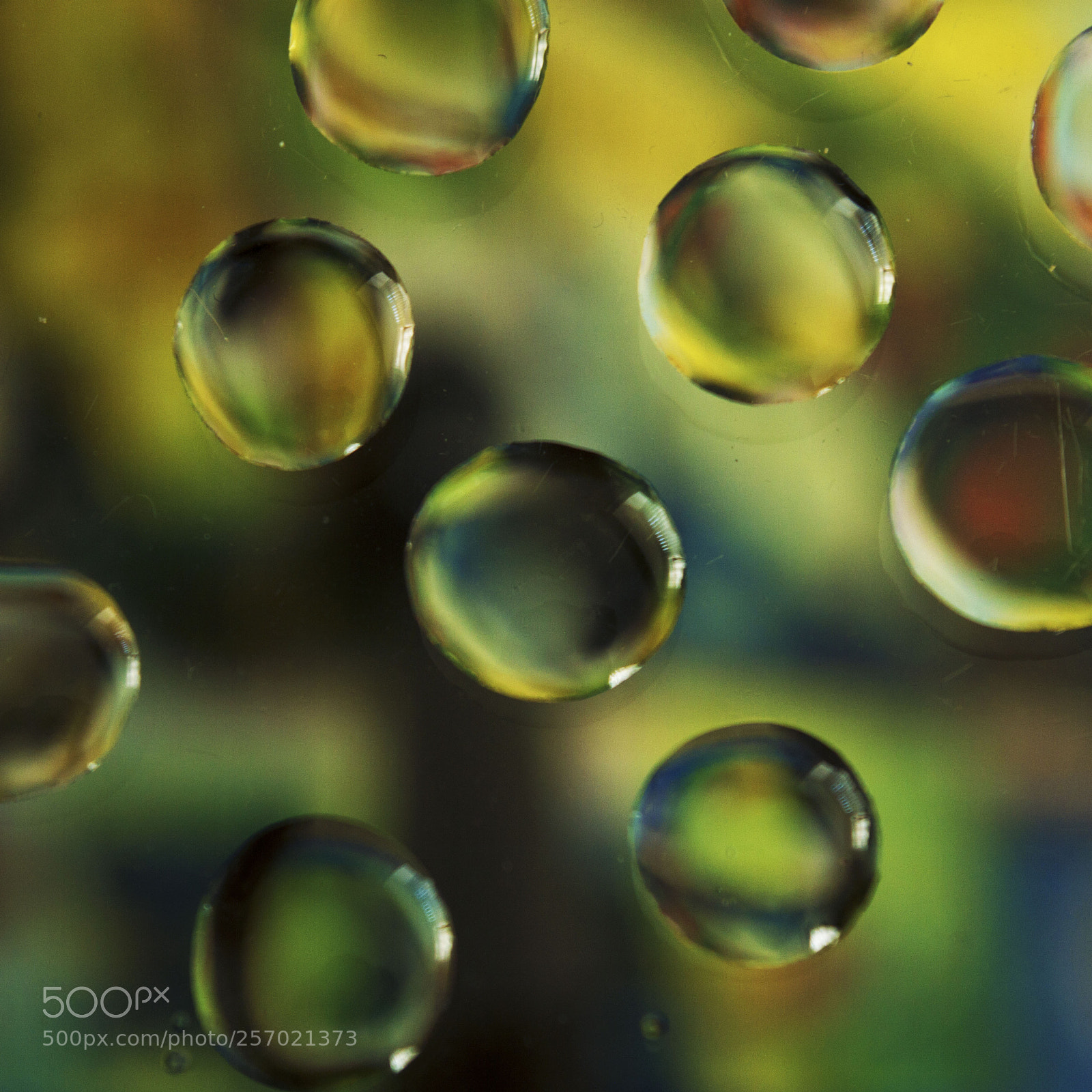 Nikon D3200 sample photo. Gum drops photography