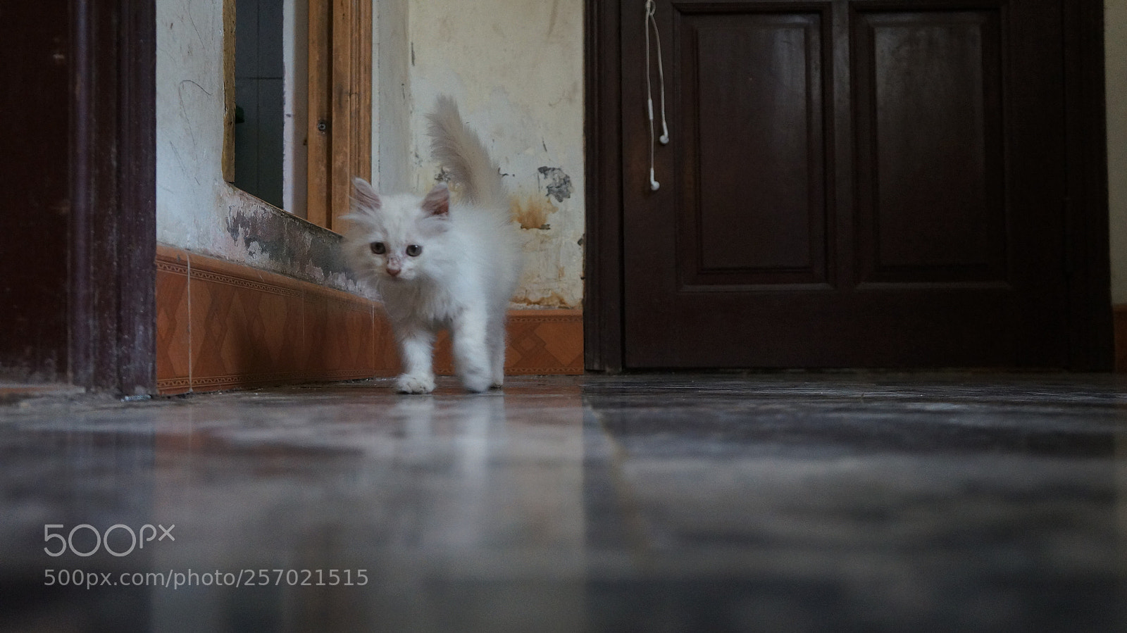 Sony Alpha NEX-5N sample photo. Still beoo photography