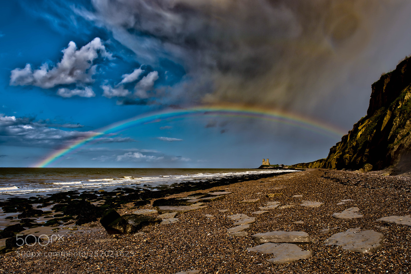 Nikon D750 sample photo. All the colours of photography