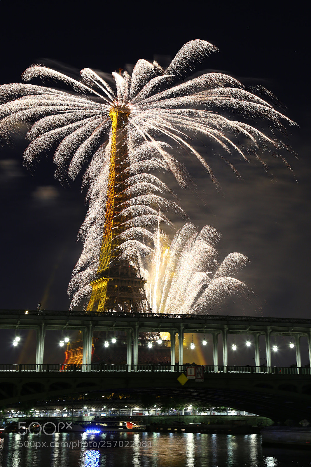 Canon EOS 6D sample photo. Habillée de plumes ! photography