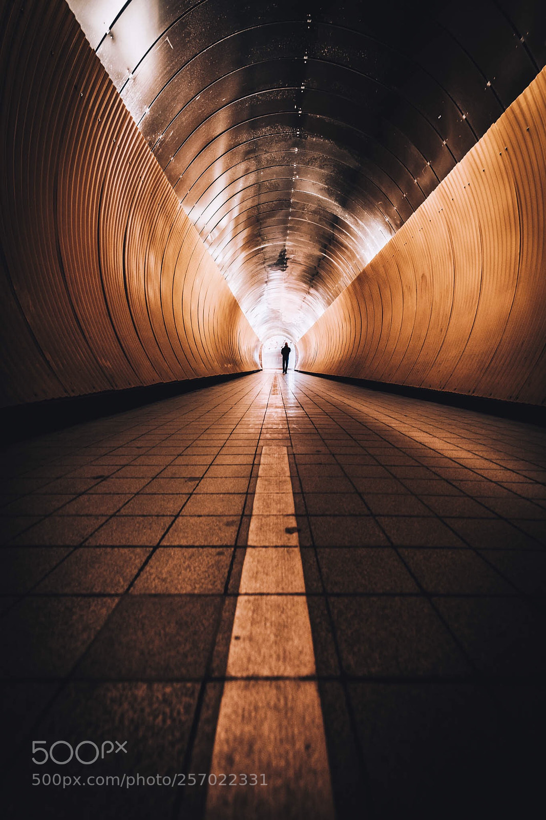 Sony a7 III sample photo. Into the tunnel photography