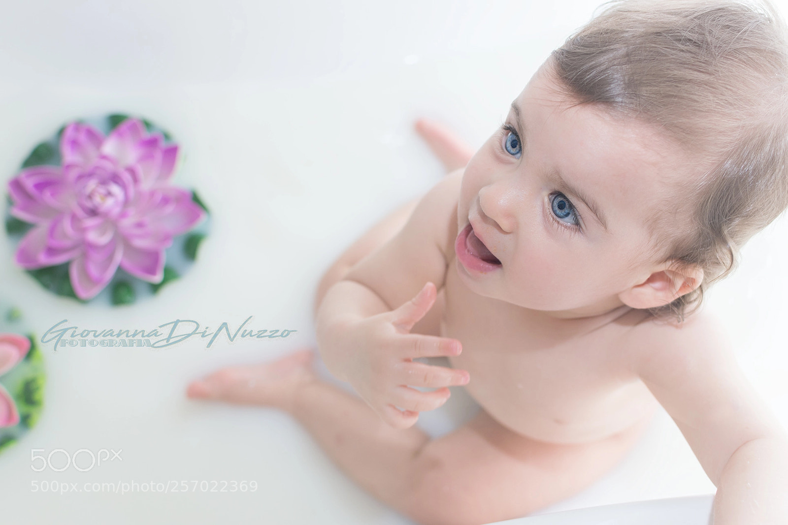 Nikon D7200 sample photo. Milkbath photography