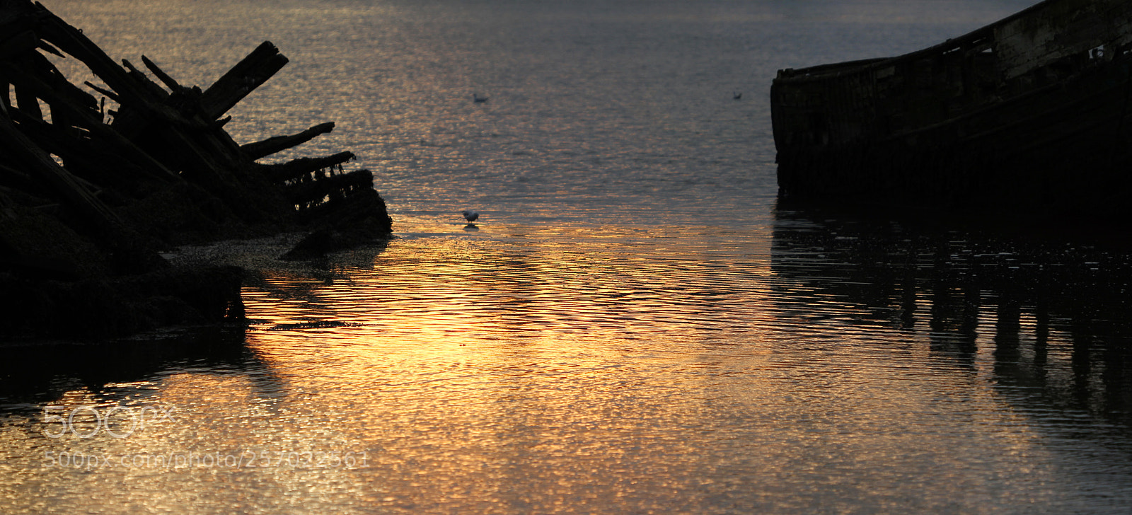 Canon EOS 7D sample photo. Ombre chinoises a l'aube photography