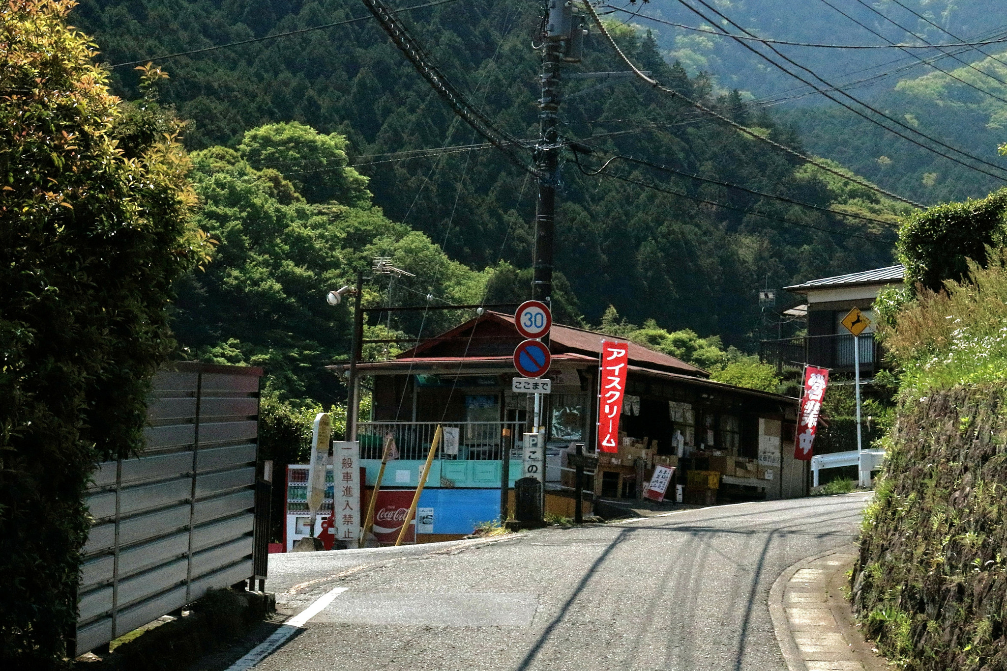 Canon EOS 100D (EOS Rebel SL1 / EOS Kiss X7) sample photo. Starting with ice cream～the notice of early summer～ photography