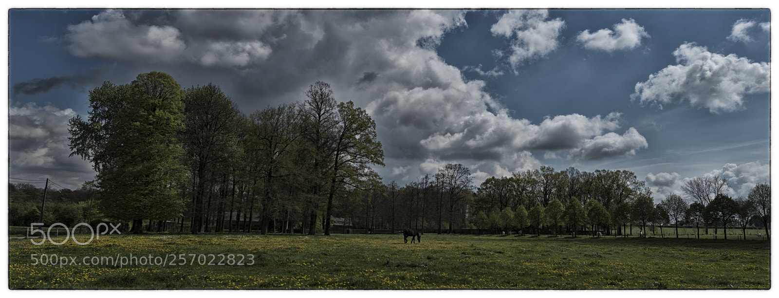Nikon D750 sample photo. Aj photography photography