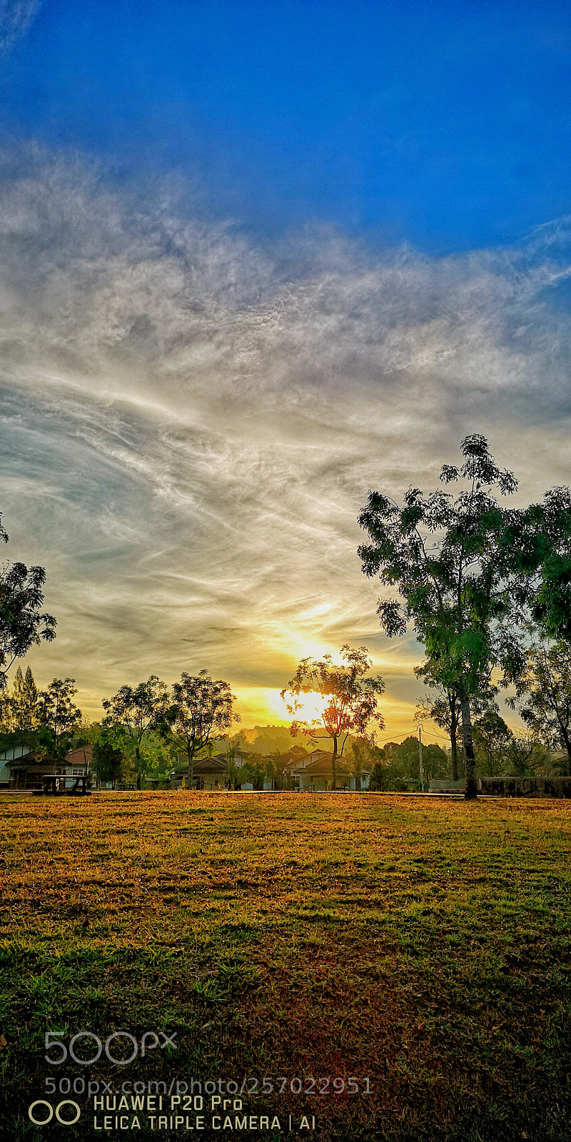 HUAWEI CLT-L29 sample photo. The beautiful morning. 美丽的早晨。 photography