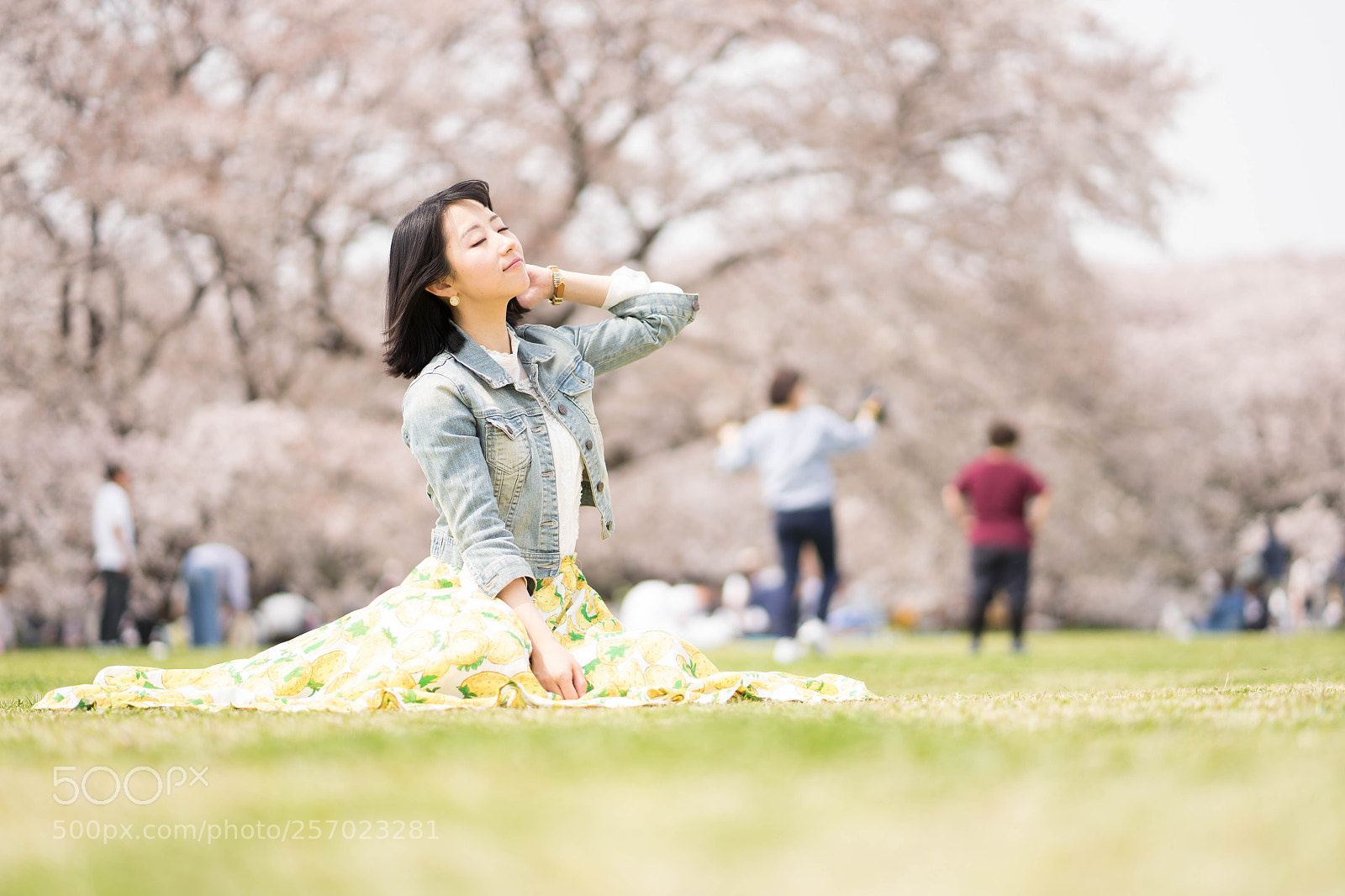 Sony a7 II sample photo. Dsc photography