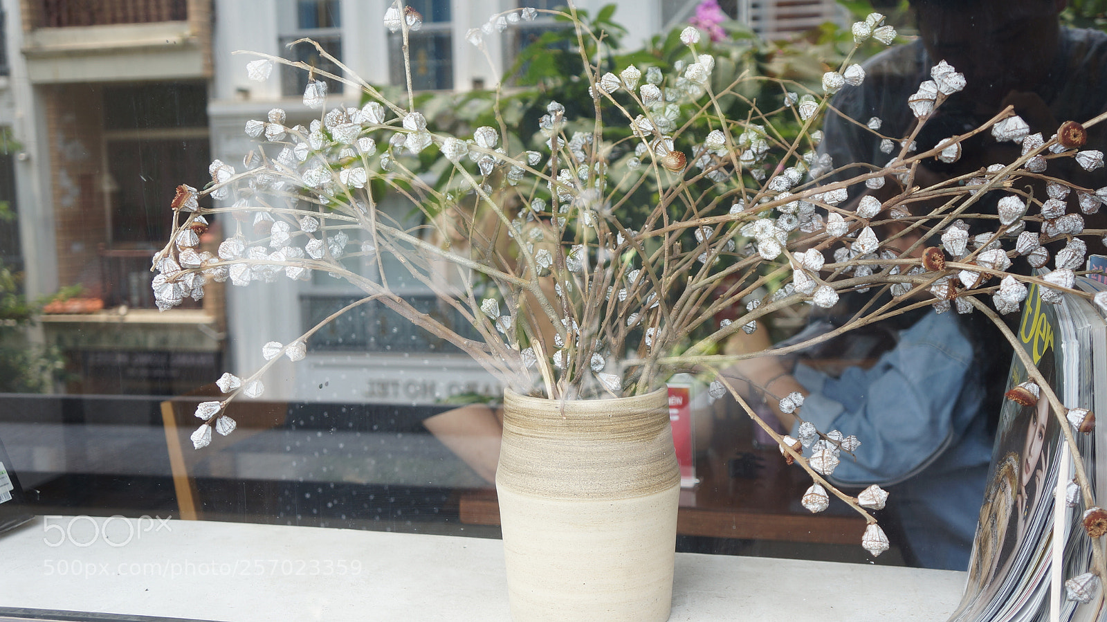 Sony Alpha NEX-5N sample photo. Dsc photography