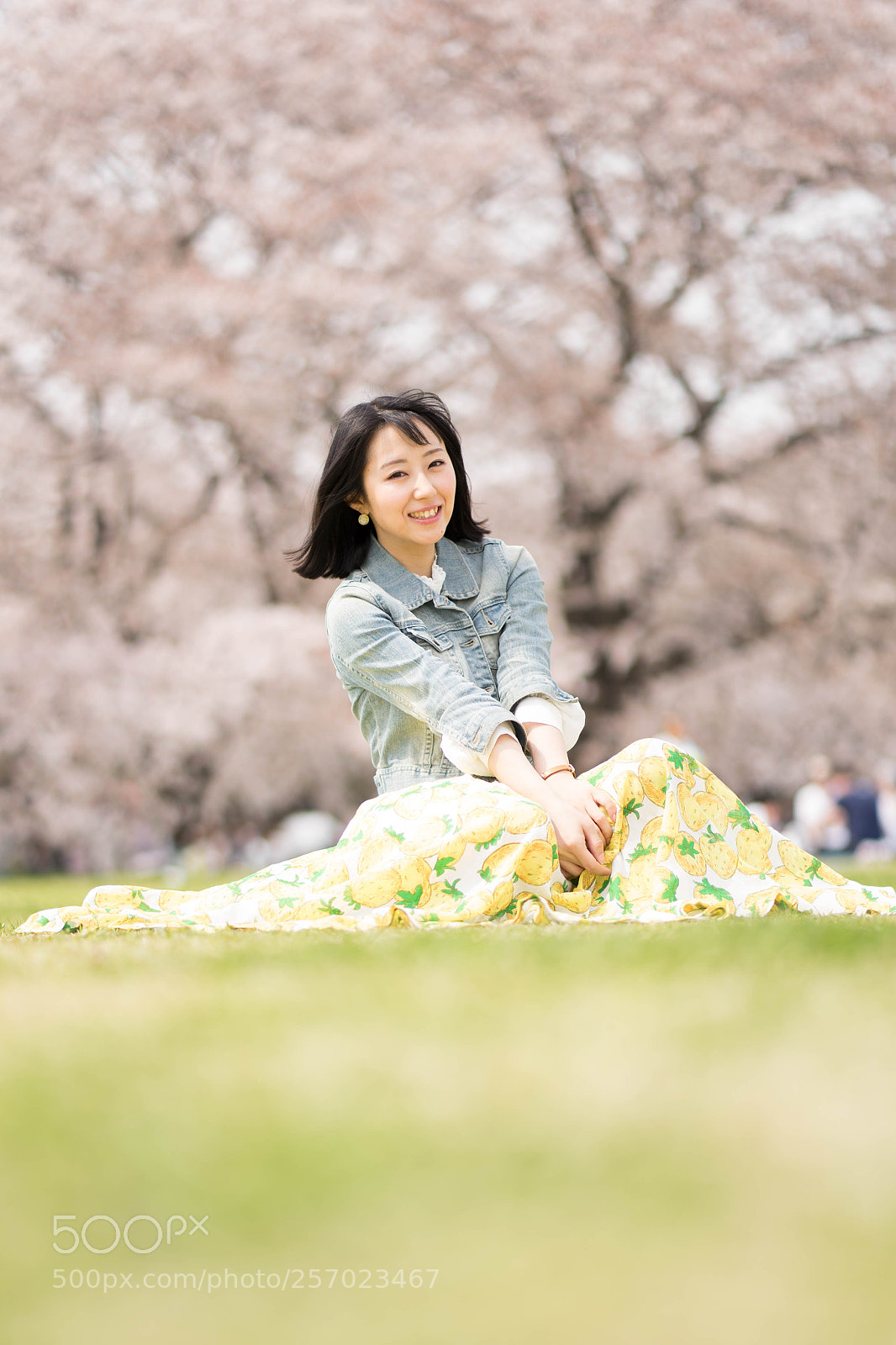 Sony a7 II sample photo. Dsc photography