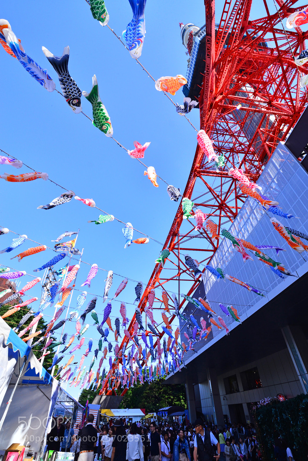 Nikon D610 sample photo. A photography