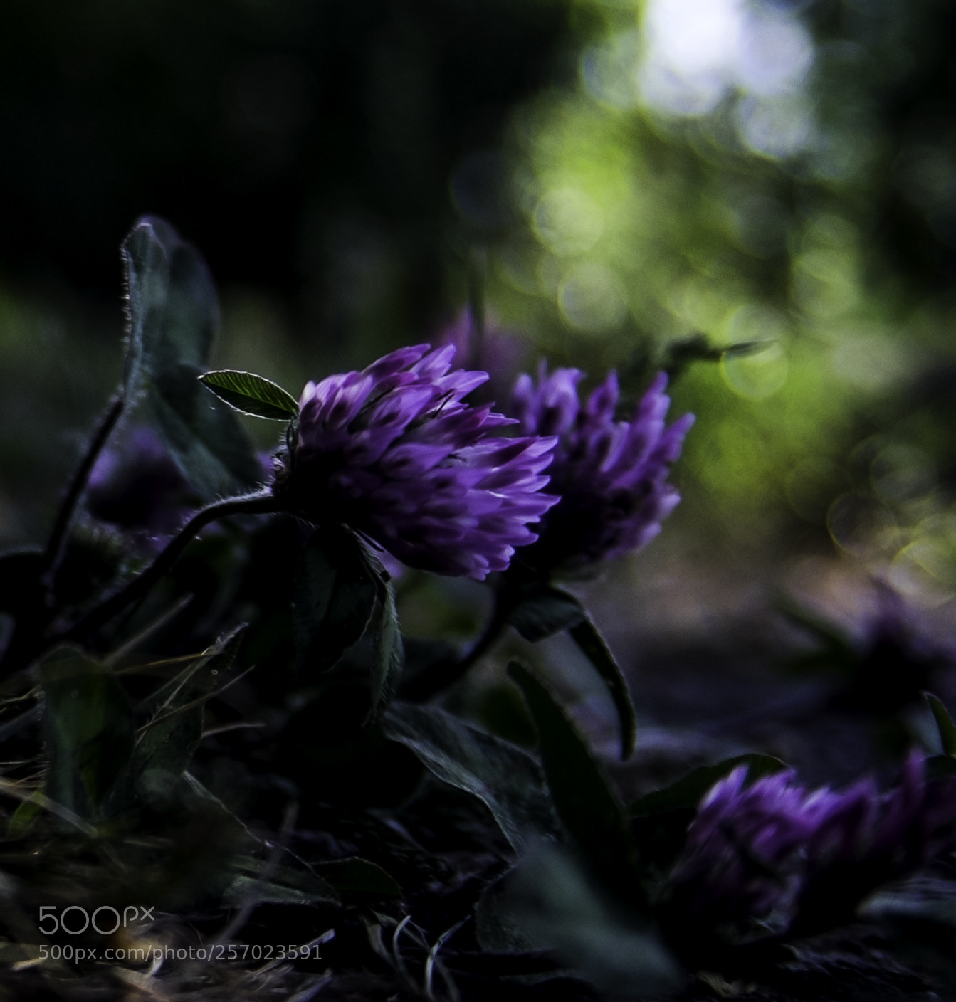 Fujifilm X-T1 sample photo. Underground photography