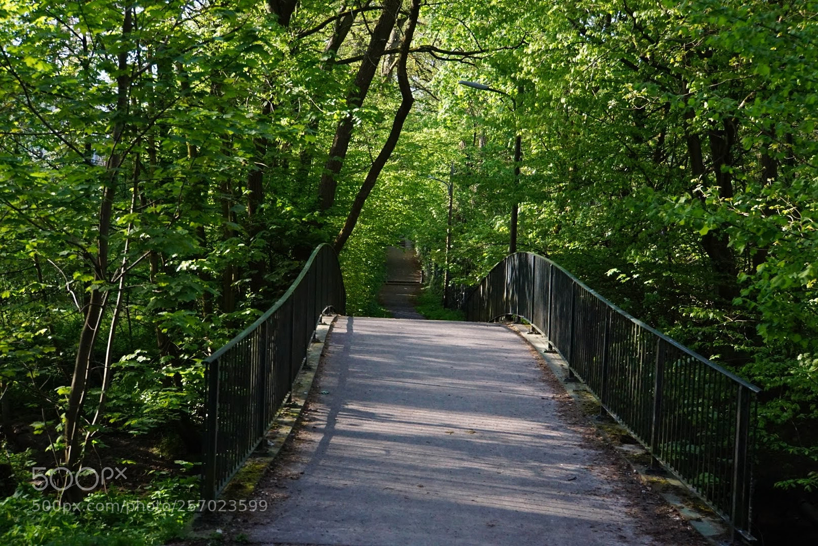 Sony a6000 sample photo. Bridge into the green photography