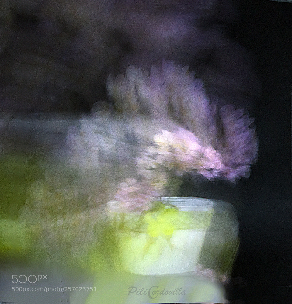 Nikon D750 sample photo. Abstracto photography