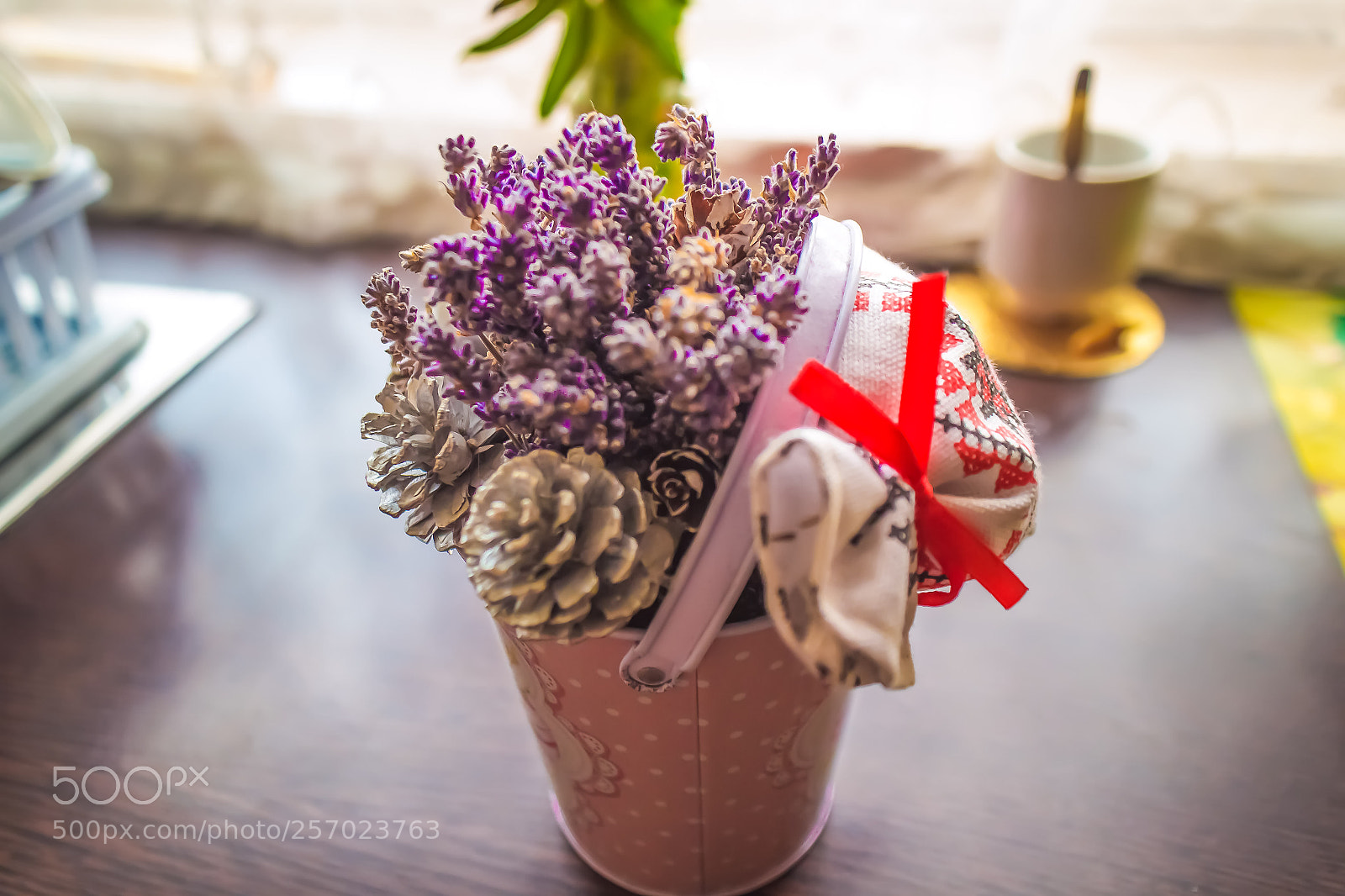 Canon EOS 600D (Rebel EOS T3i / EOS Kiss X5) sample photo. Lavanda photography