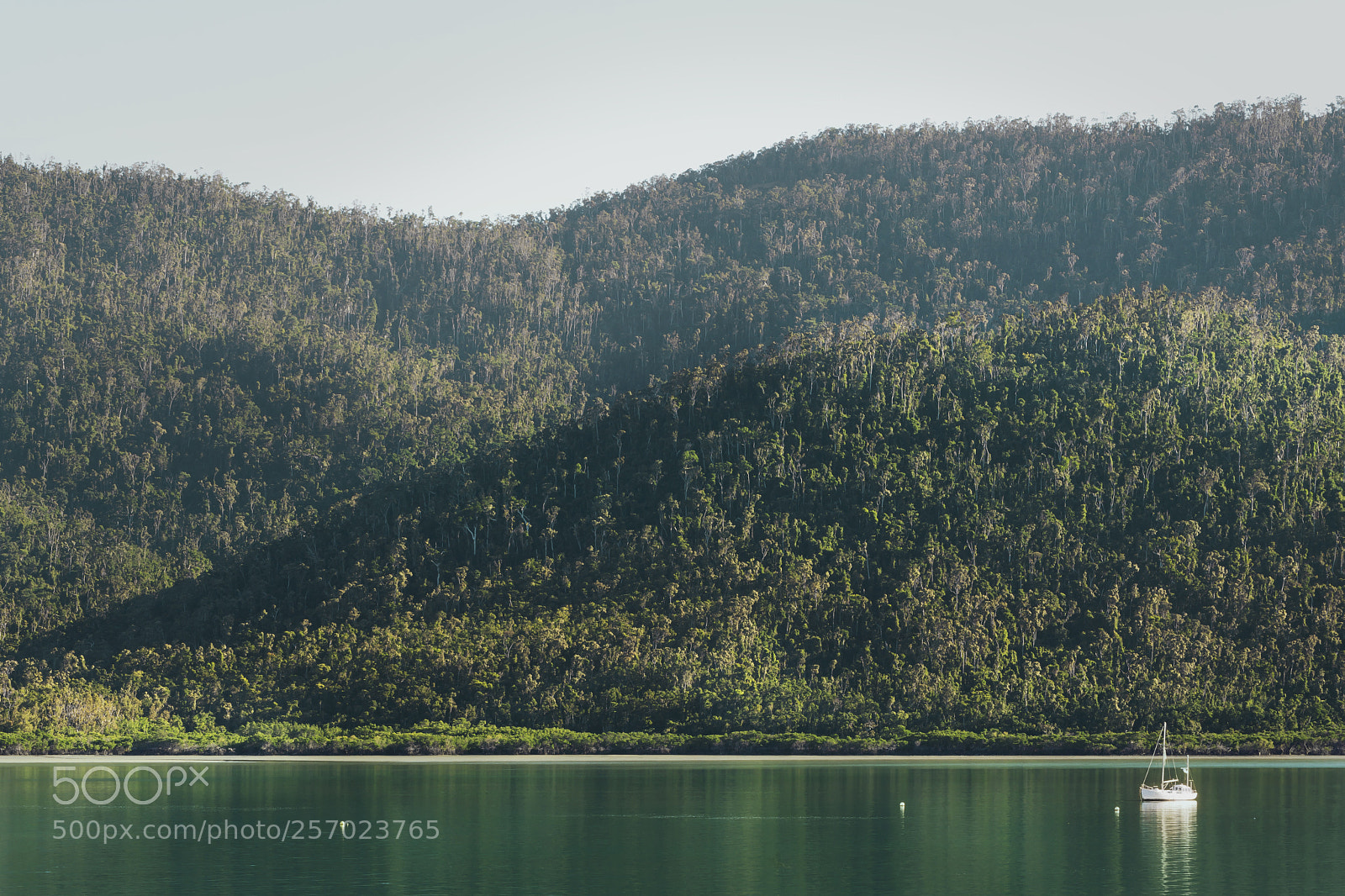 Nikon D5200 sample photo. Forest river photography