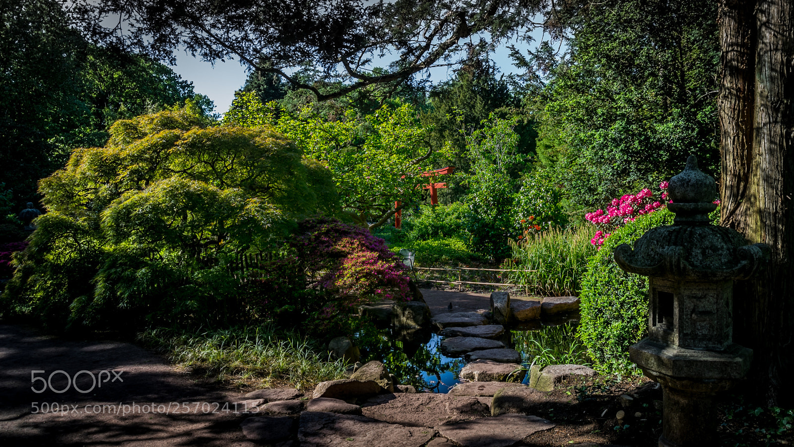 Nikon D3300 sample photo. Jardin japonais.. photography