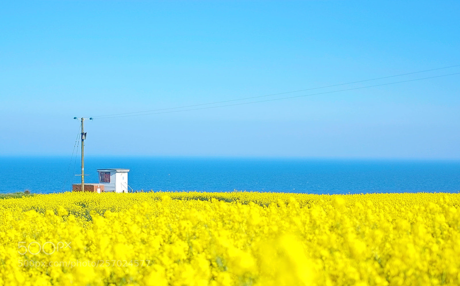 Fujifilm X-E1 sample photo. Colours of spring photography