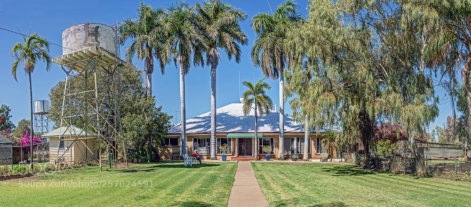Nikon D610 sample photo. An oasis in the photography