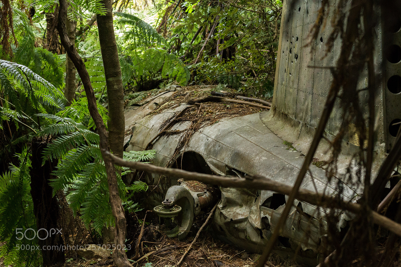 Canon EOS 6D sample photo. Port underwood, new zealand photography