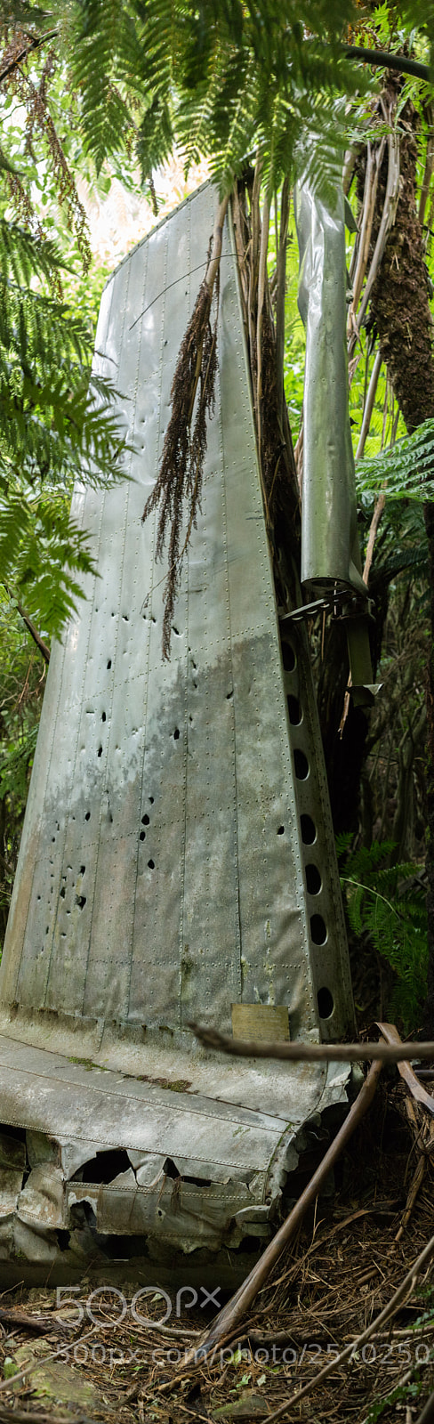 Canon EOS 6D sample photo. Port underwood, new zealand photography