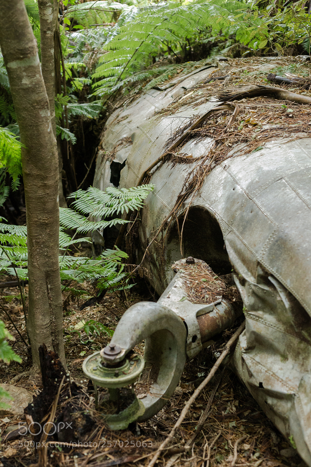 Canon EOS 6D sample photo. Port underwood, new zealand photography