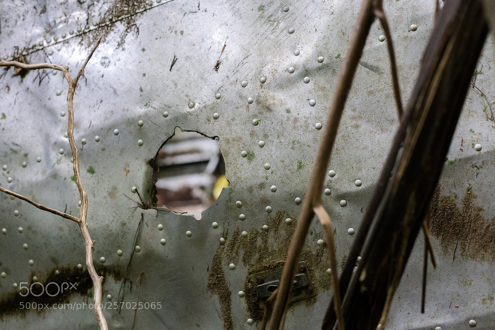 Canon EOS 6D sample photo. Port underwood, new zealand photography