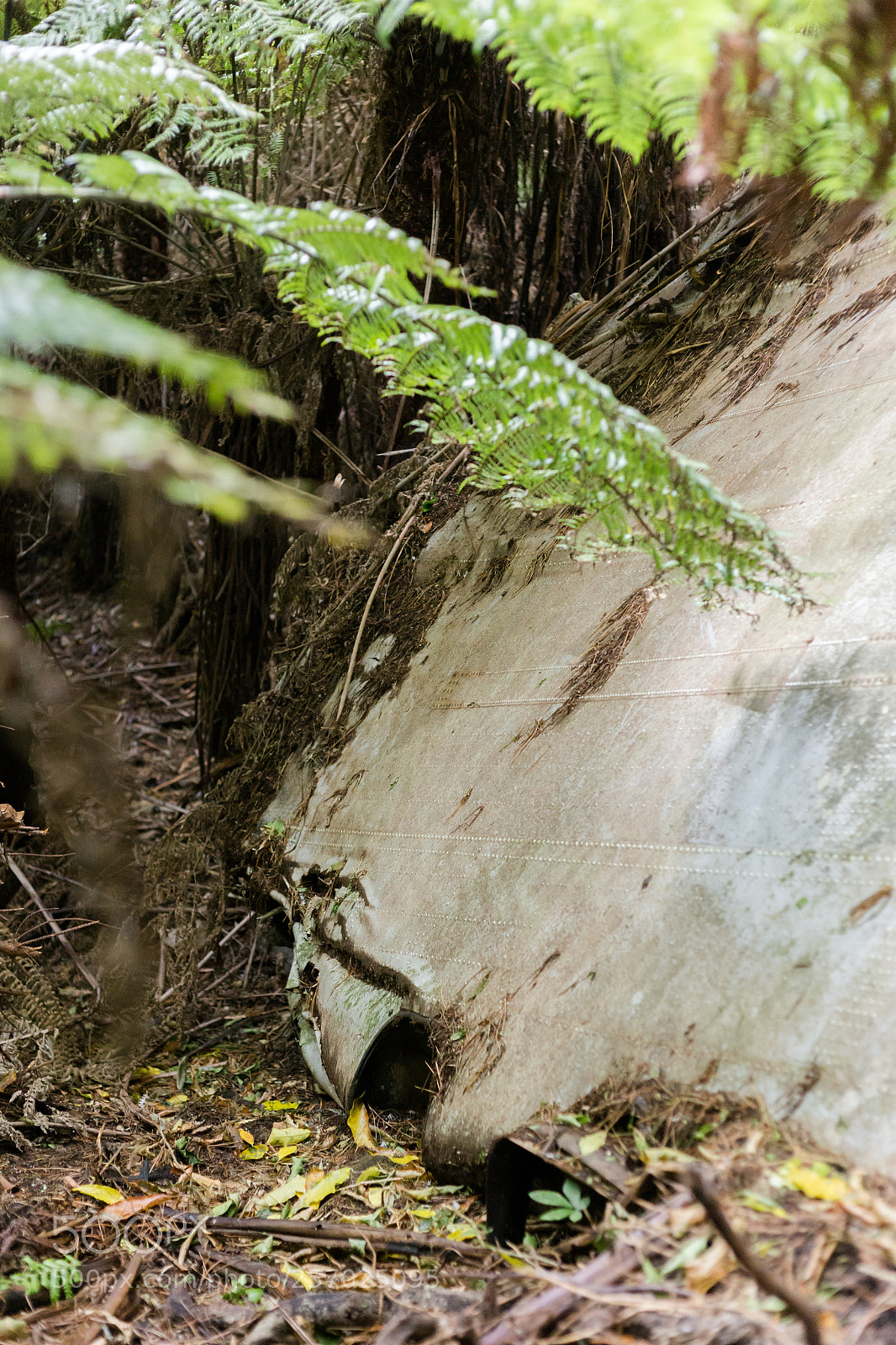 Canon EOS 6D sample photo. Port underwood, new zealand photography