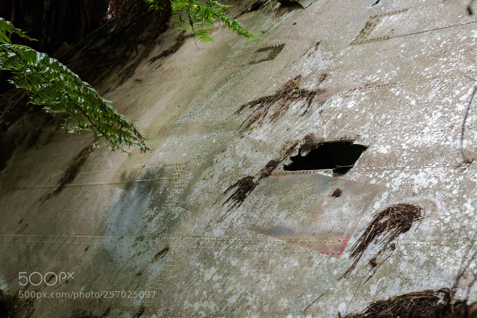 Canon EOS 6D sample photo. Port underwood, new zealand photography