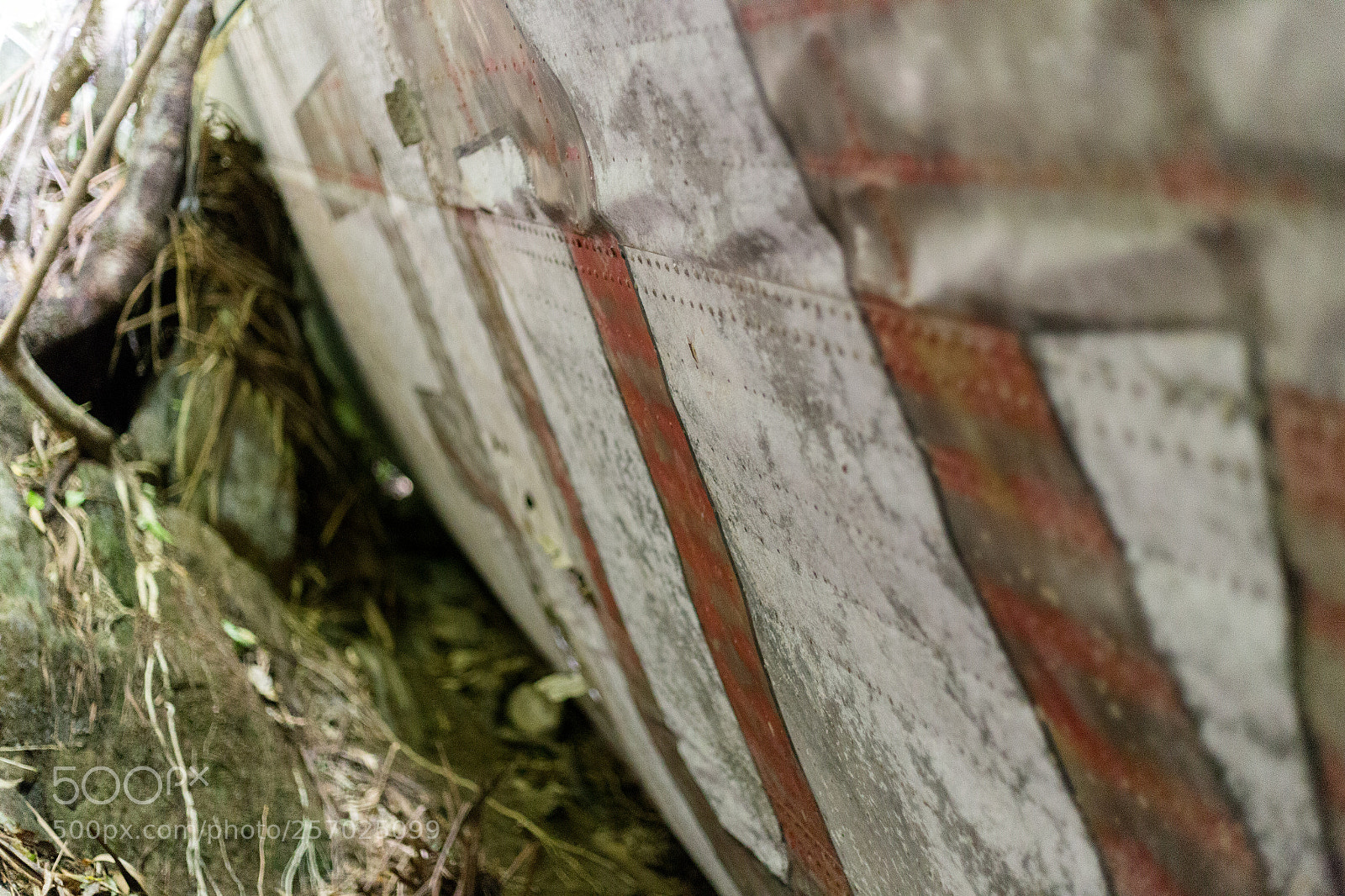 Canon EOS 6D sample photo. Port underwood, new zealand photography