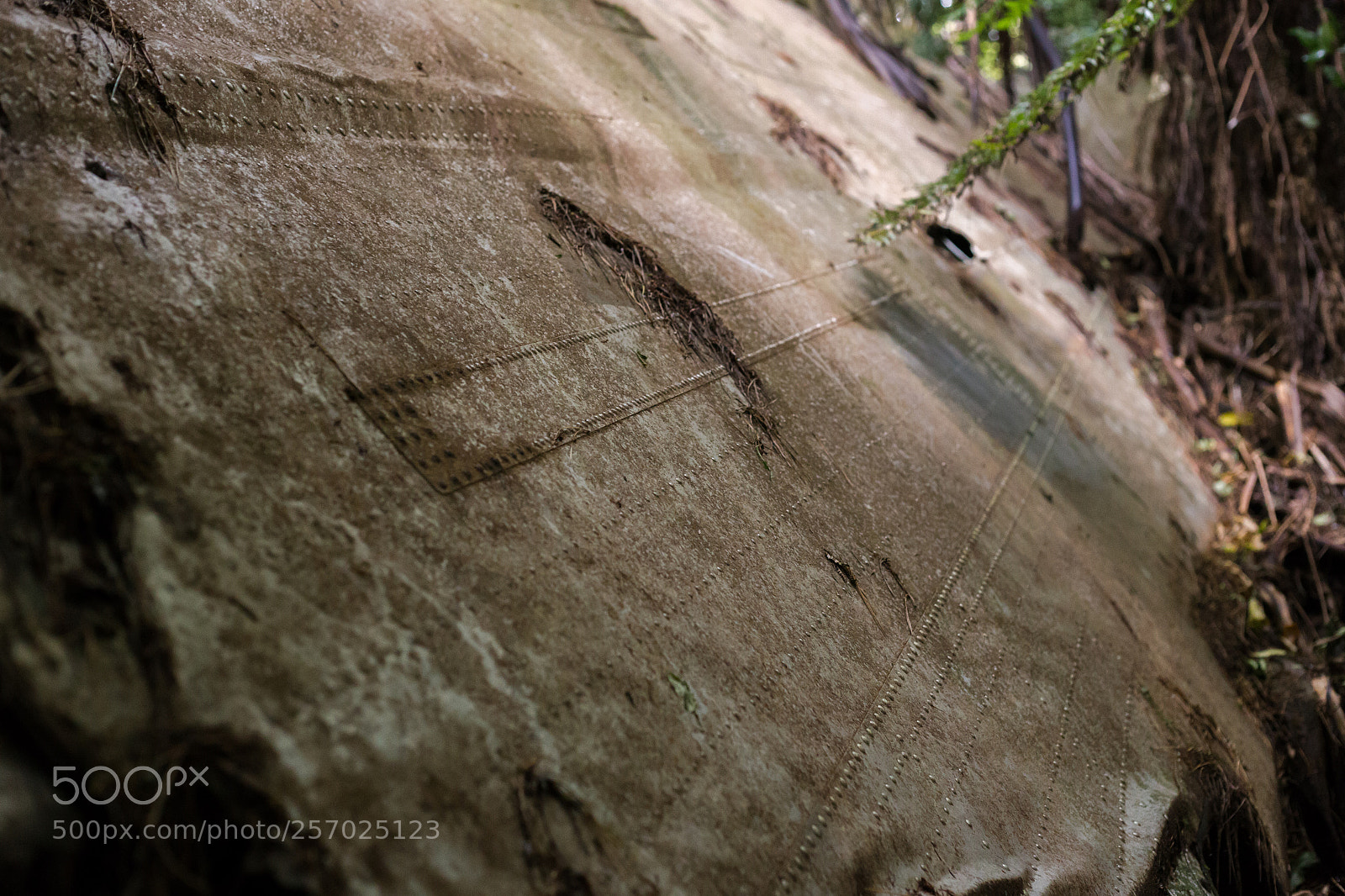 Canon EOS 6D sample photo. Port underwood, new zealand photography