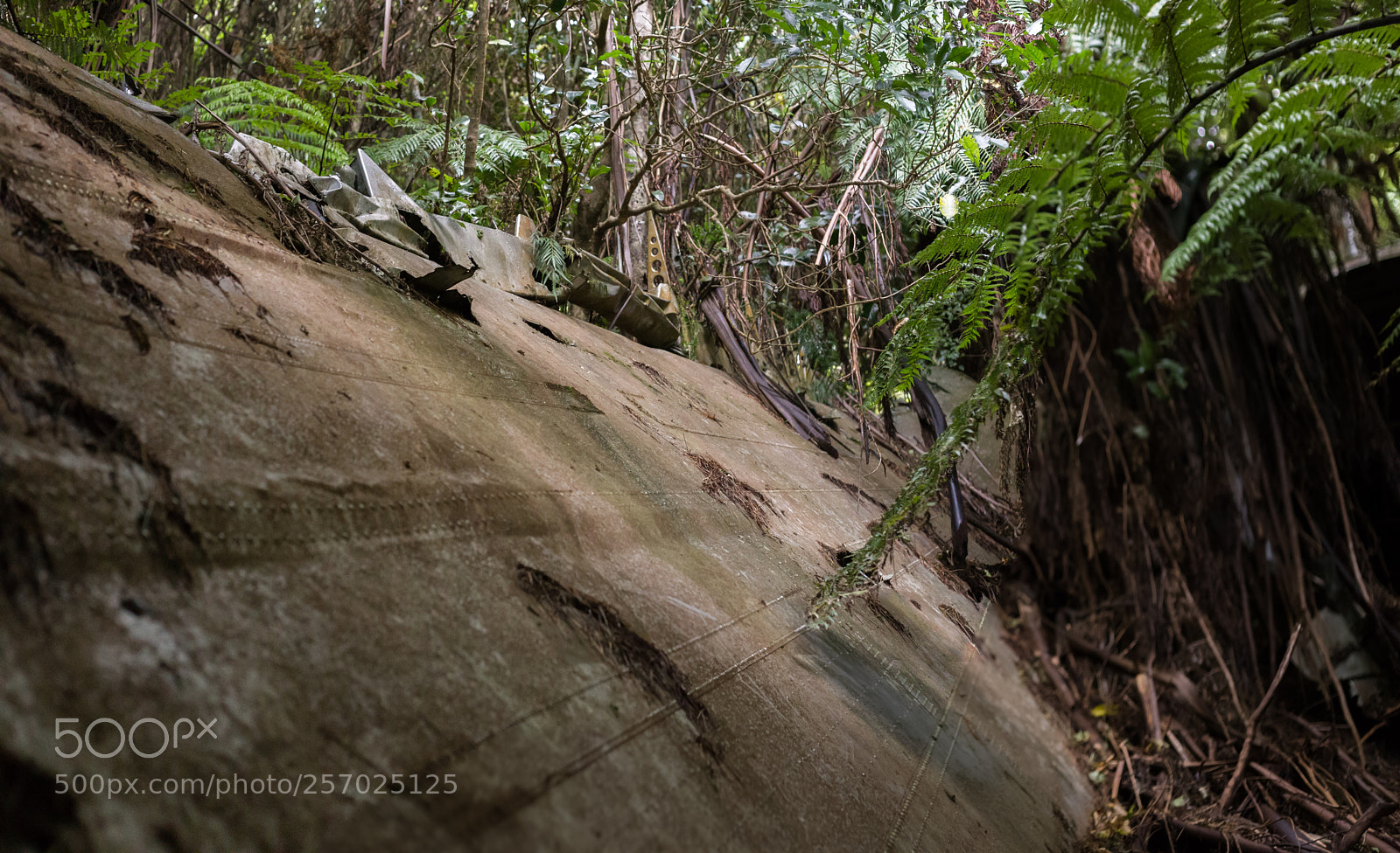 Canon EOS 6D sample photo. Port underwood, new zealand photography